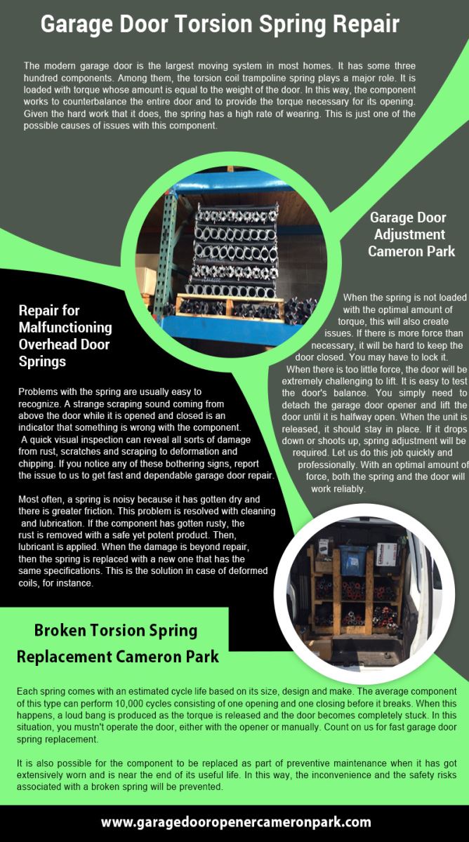 Garage Door Repair Cameron Park Infographic